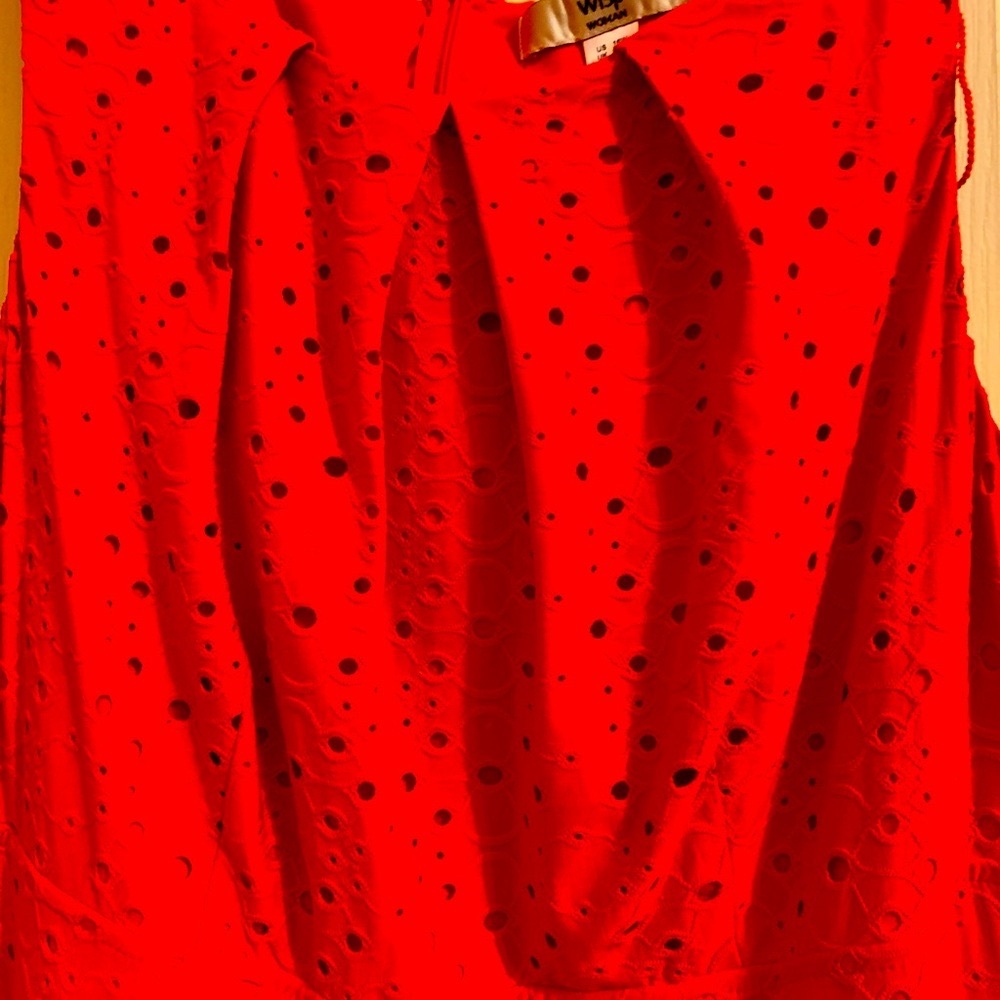 Red eyelet dress size 16w